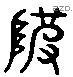 陂 Liushutong characters