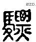 驃 Liushutong characters