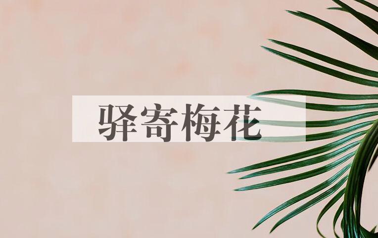 成语驿寄梅花是什么意思？