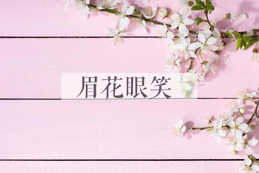 成语眉花眼笑是什么意思？