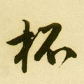 柸字的其他书法字体