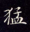 勐字的其他书法字体