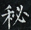 苾字的其他书法字体