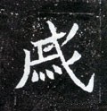 慽字的其他书法字体