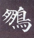 鵬字的其他书法字体