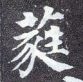 苼字的其他书法字体