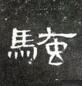 騒字的其他书法字体