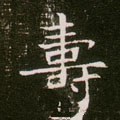 夀字的其他书法字体