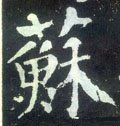 蘓字的其他书法字体