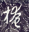 揜字的其他书法字体