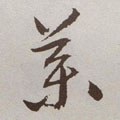 藥字的其他书法字体