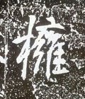 擁字的其他书法字体