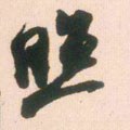 照字的其他书法字体