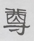 尊字的其他书法字体