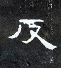 反字的其他书法字体