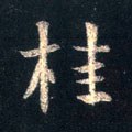 桂字的其他书法字体