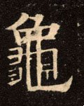 龜字的其他书法字体