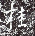 桂字的其他书法字体