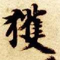 獲字的其他书法字体