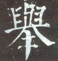 举字的其他书法字体