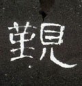 觐字的其他书法字体