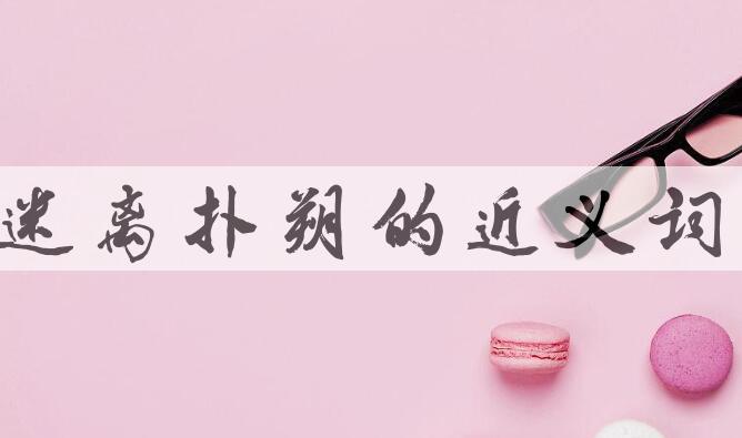 用迷离扑朔造句