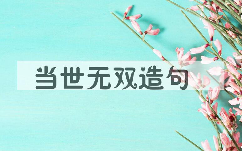 用当世无双造句